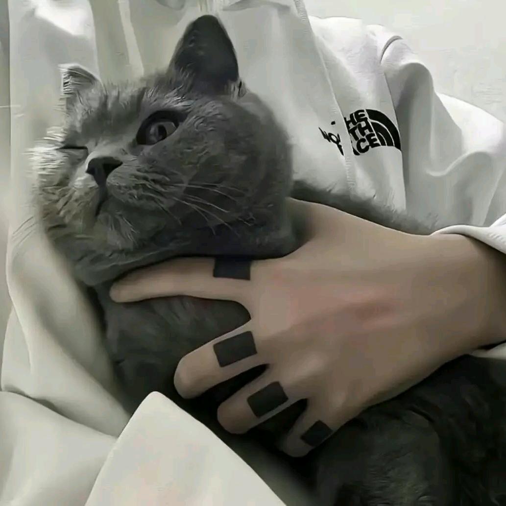 Poison（不到77kg不改名字版）