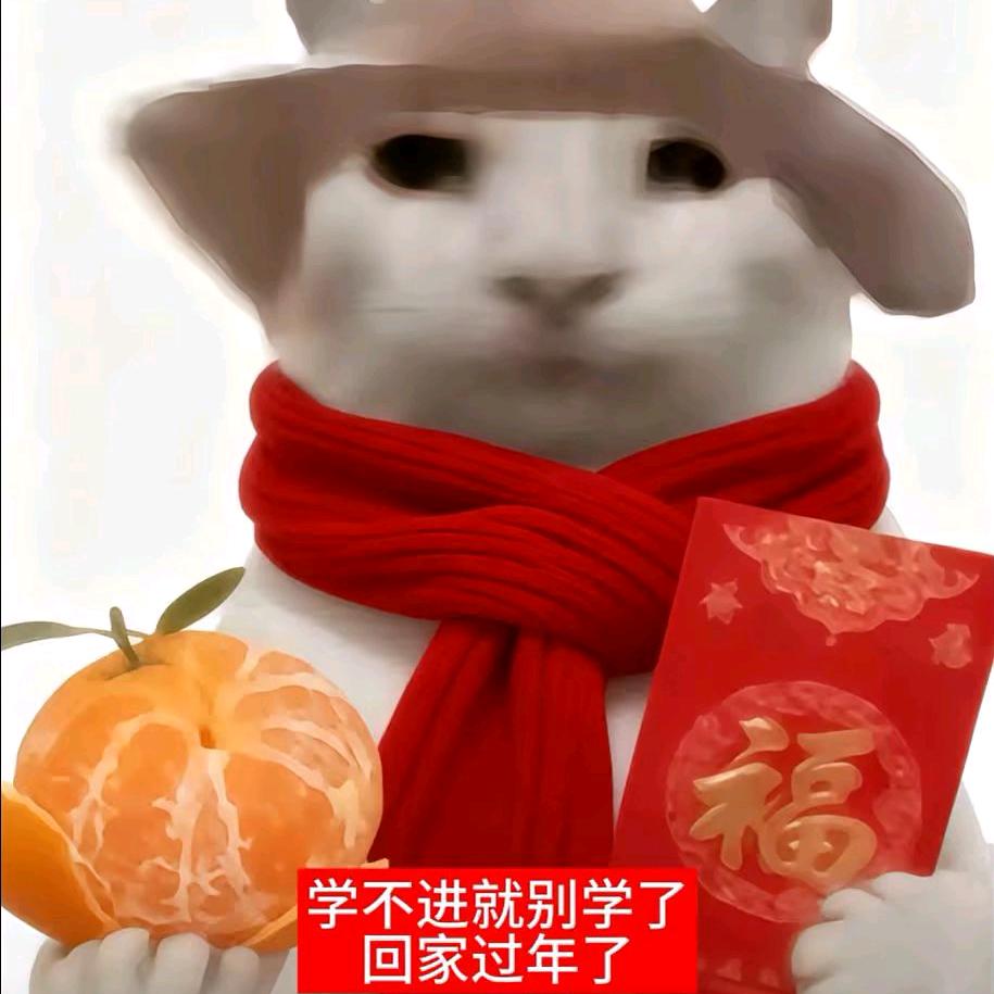 美美姐首播，走路第一天首播，