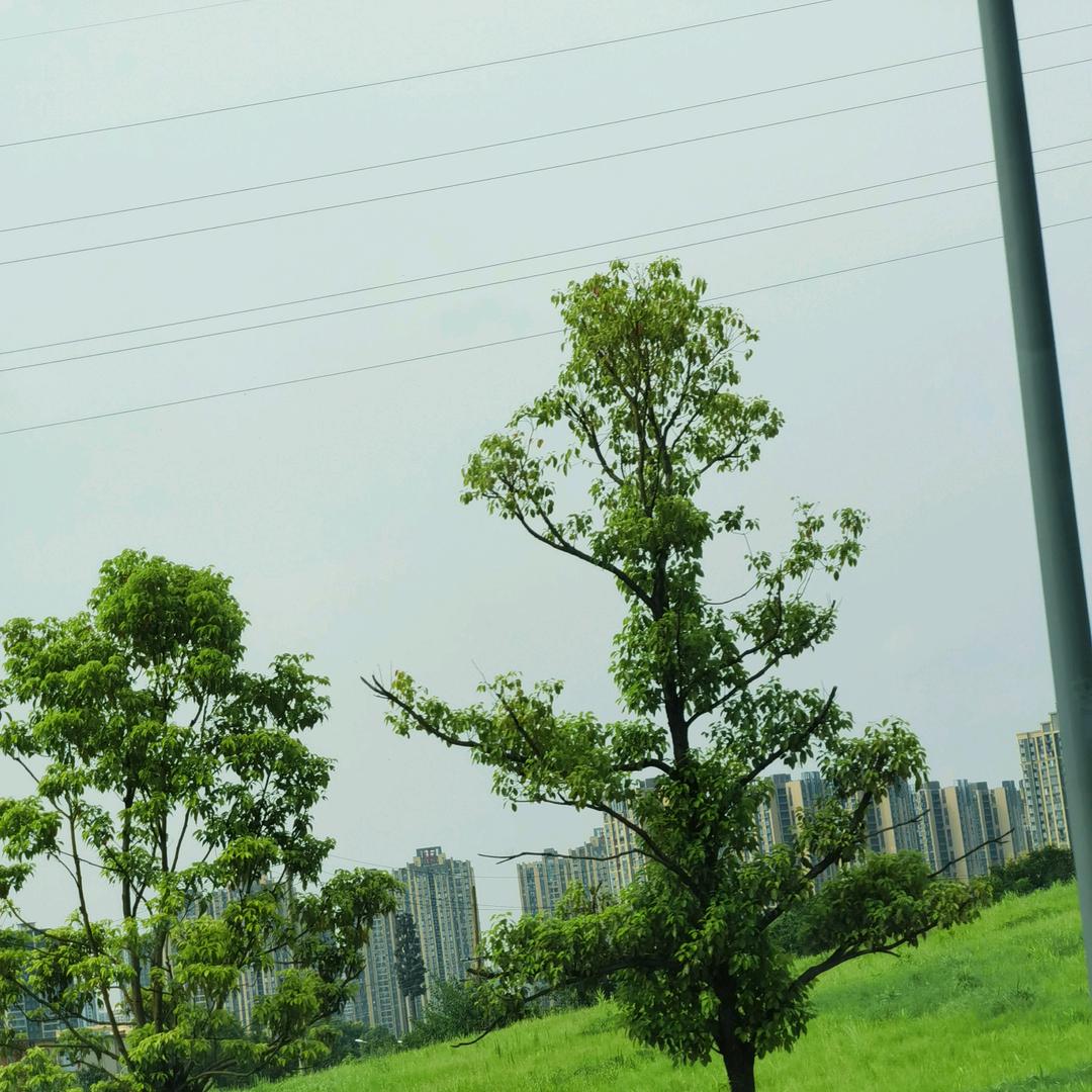 蓝天；白云