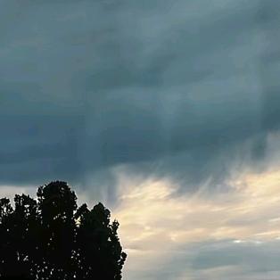 じ໊ོ貔貅꦳᭄