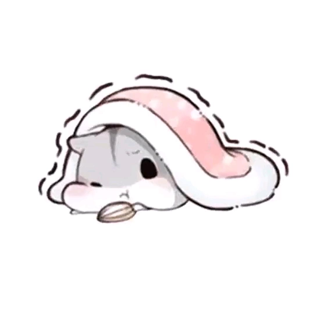 轉角遇到貓