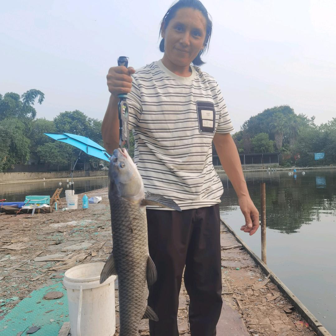 华哥❤钓鱼