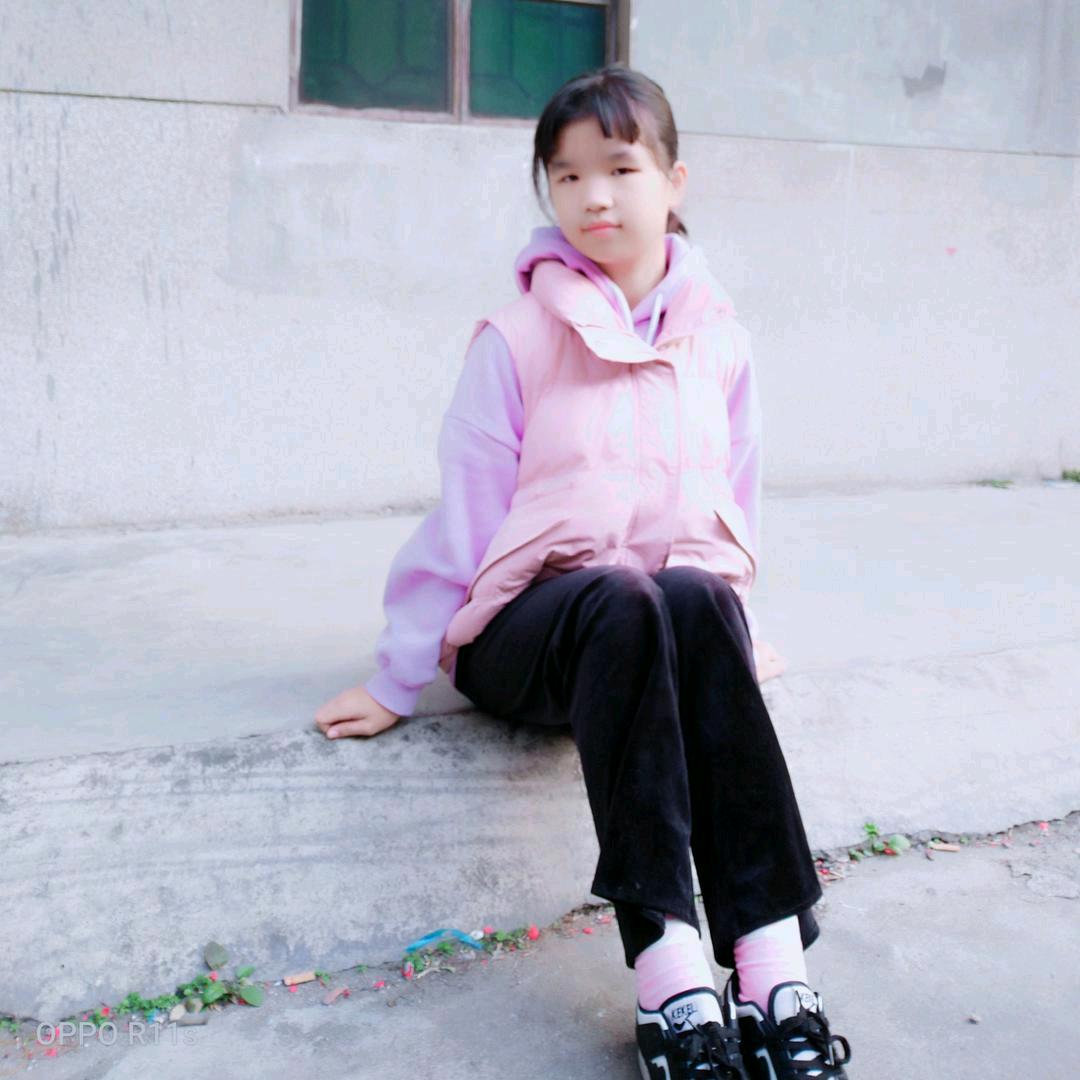 石鑫菊(直播号)