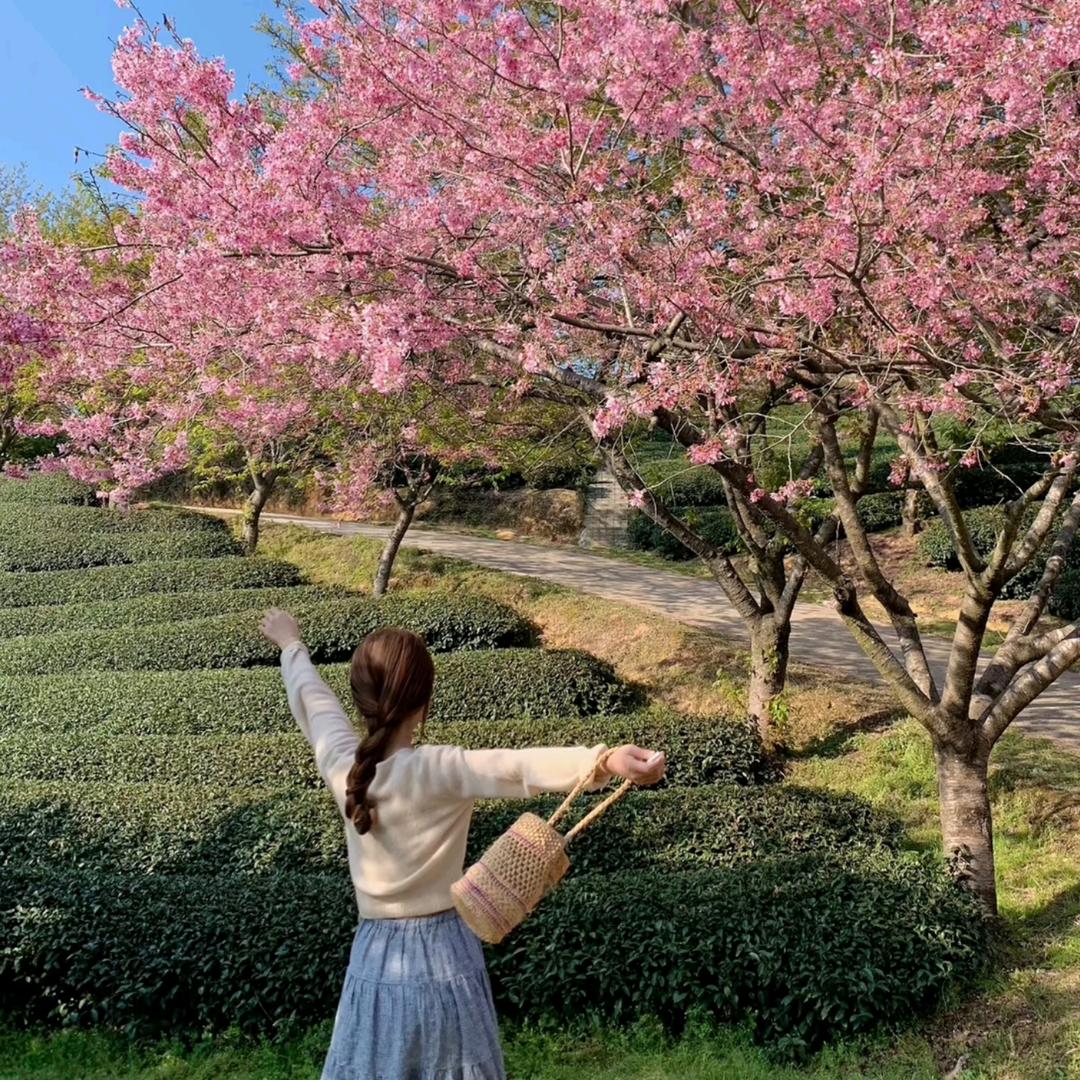 希希优选