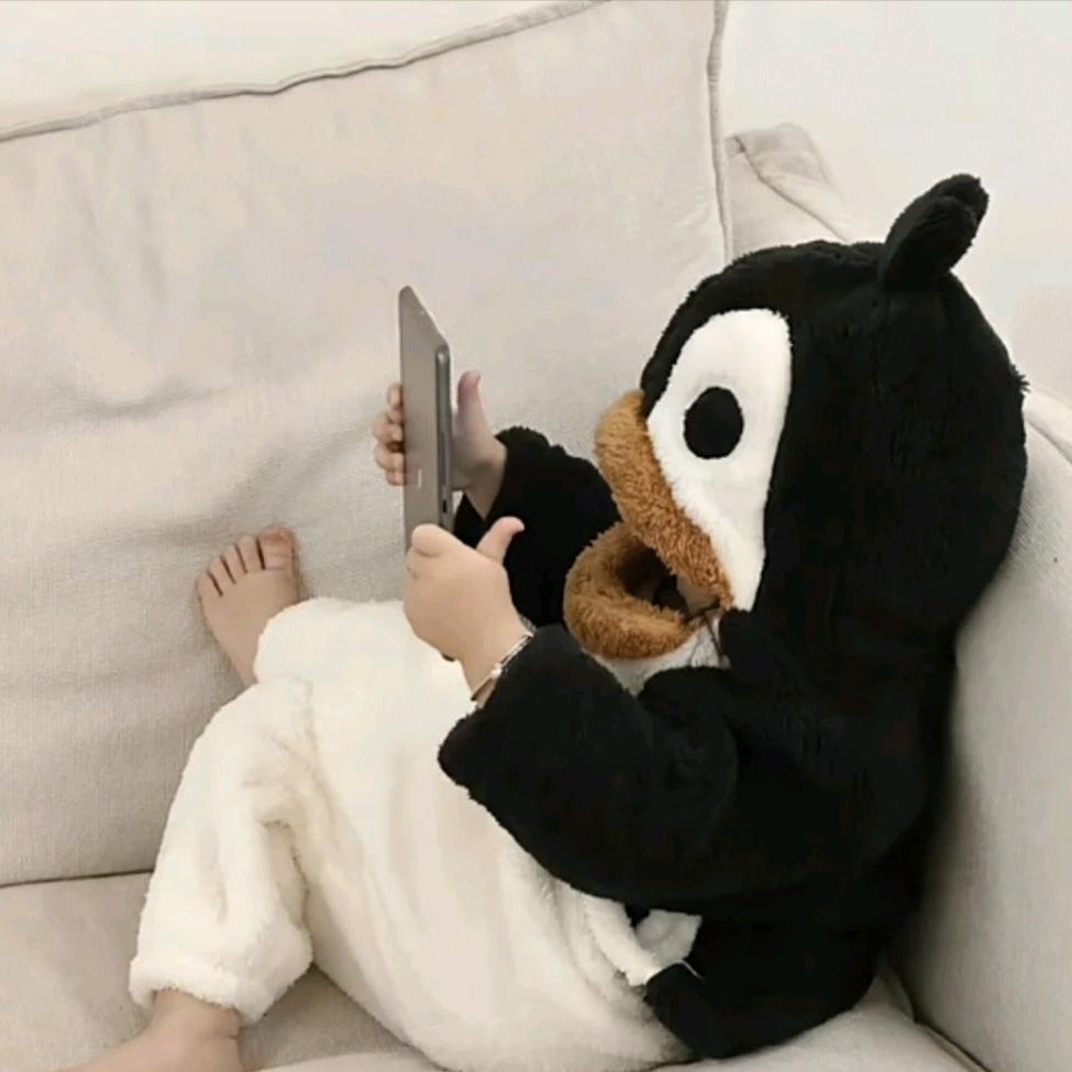 雾会散