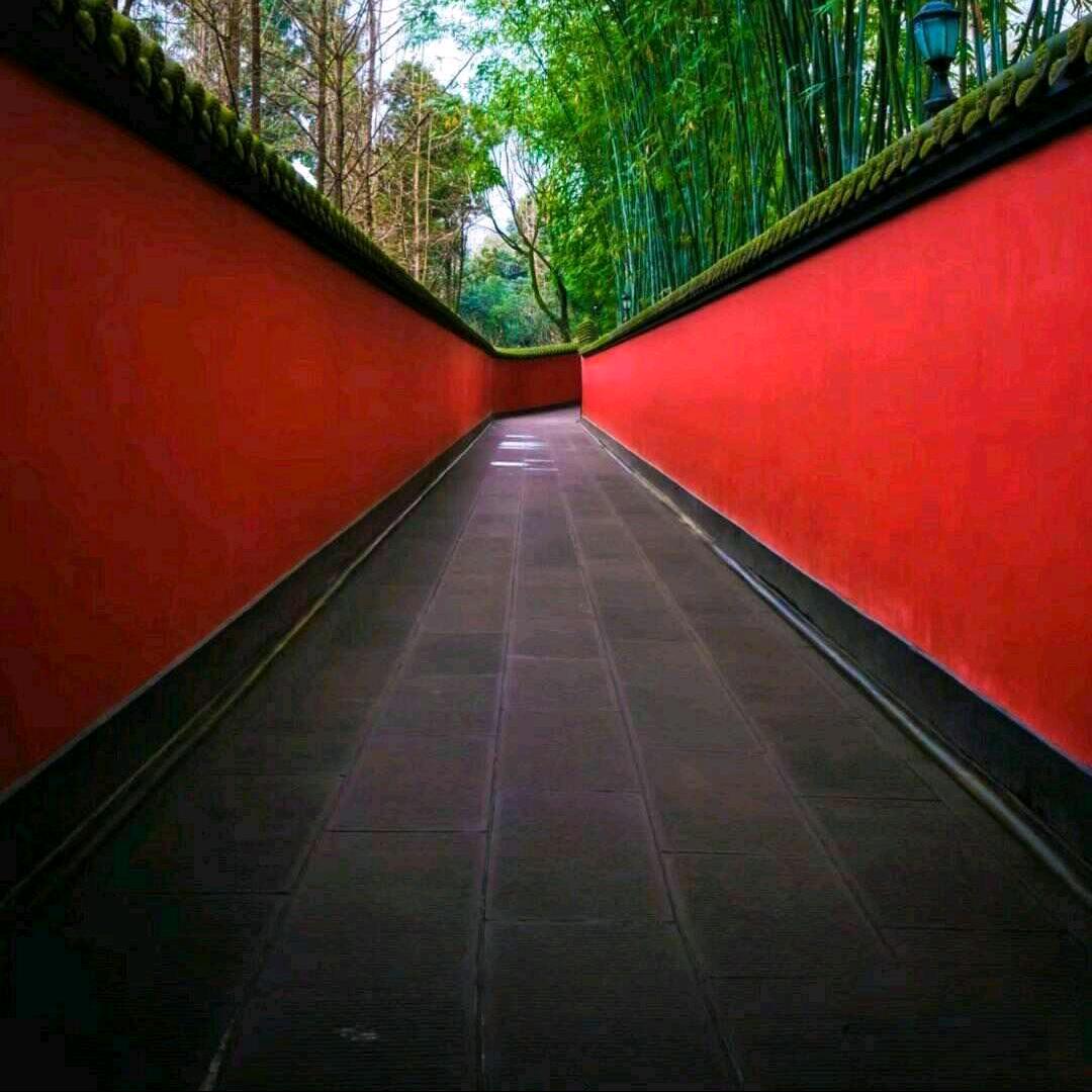 一代义：龙
