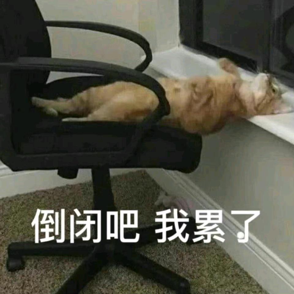 小张快发财啊
