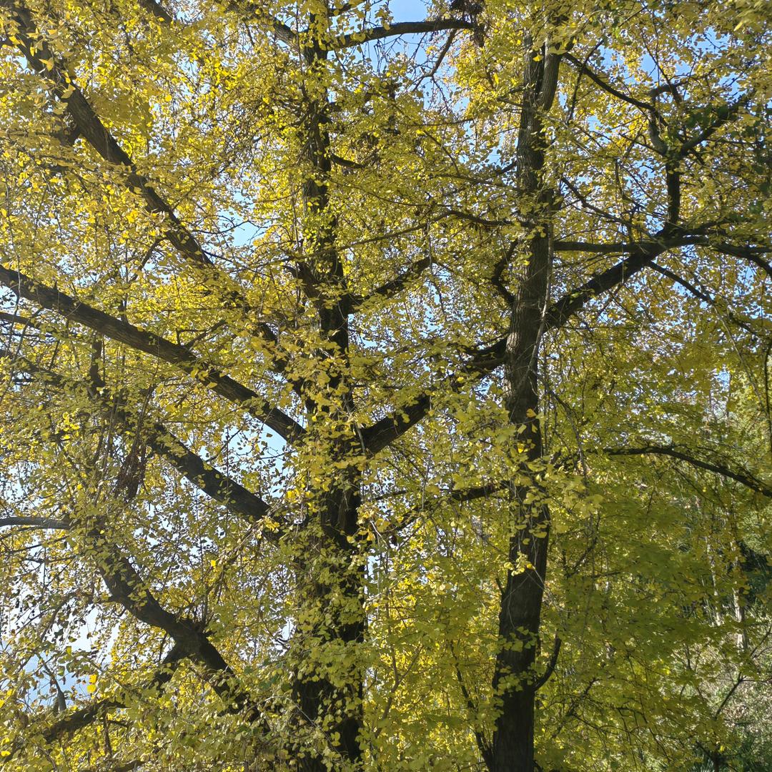 💋紫气东来💁🖐