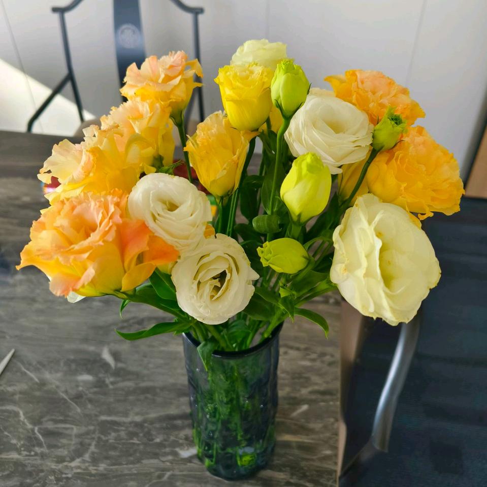 骑着蜗牛看世界