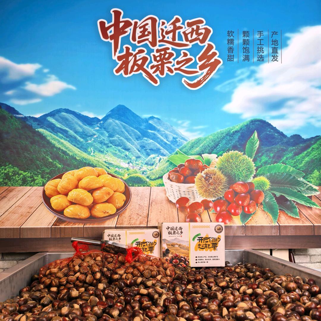 迁西板栗红鑫优选