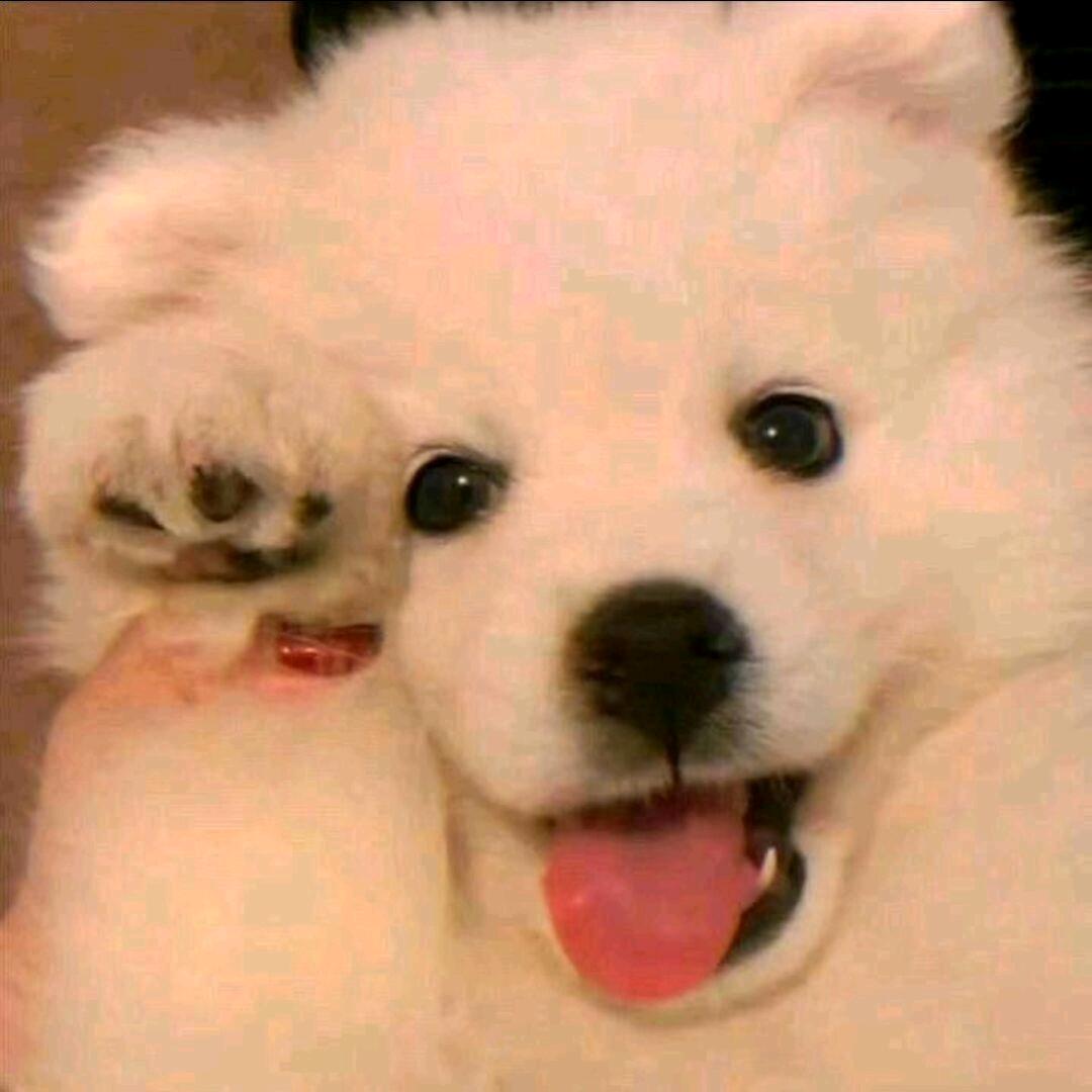 ᩚ小 酒人力资源招聘室（封票）