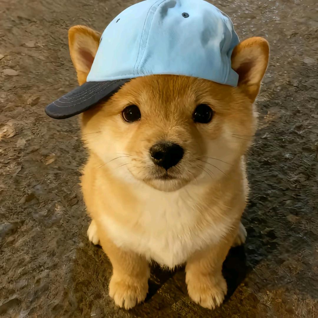 看校门口买炸串