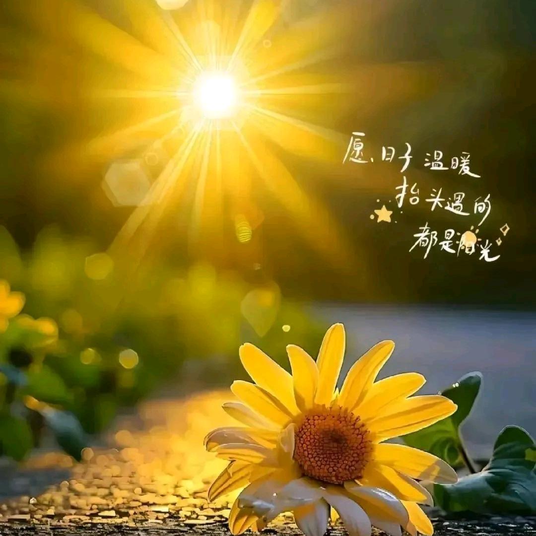 💞岁月Wu痕🌵