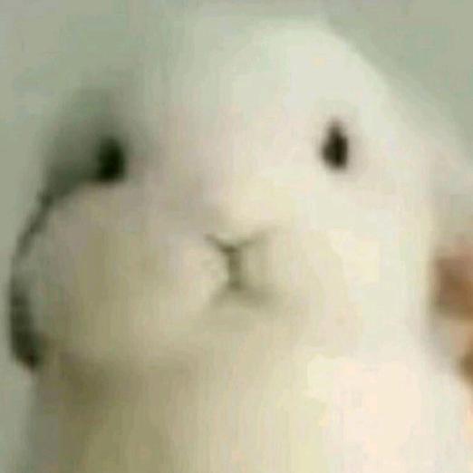 元