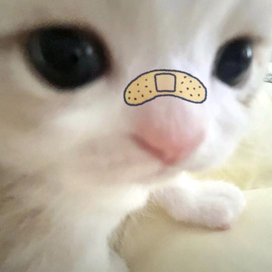 严厉的继母
