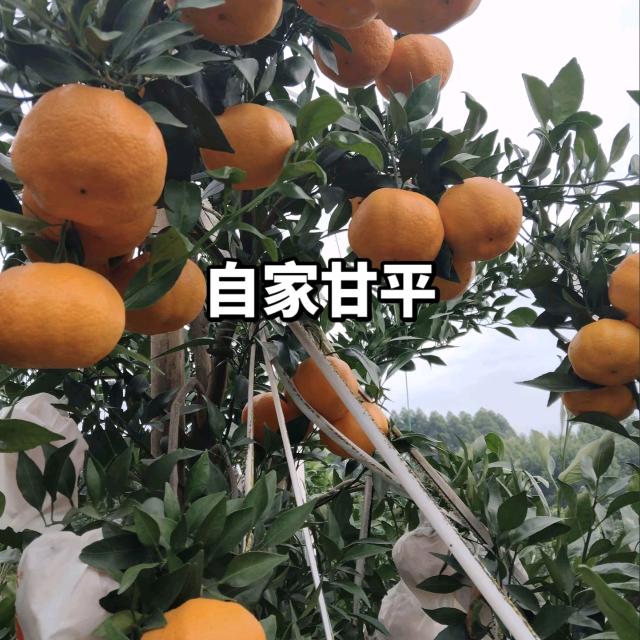 百年水果之乡