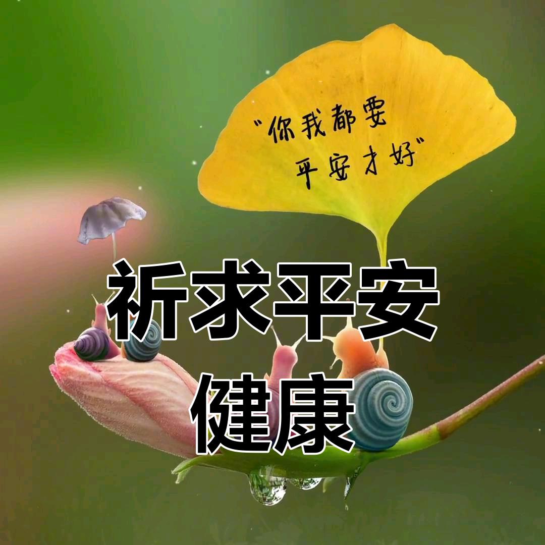 接健康平安