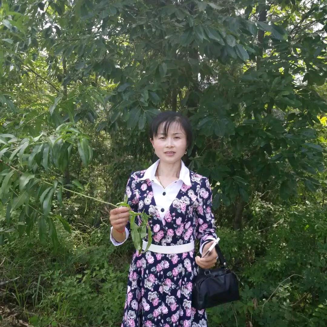 陆小凤