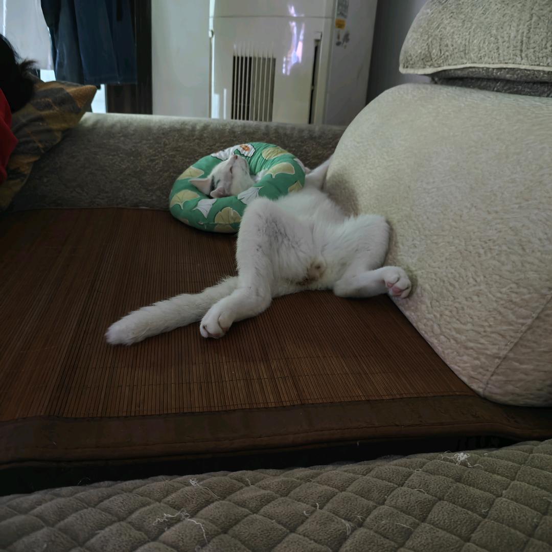 《隔壁老方》