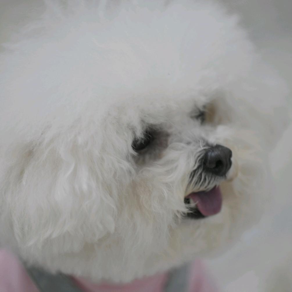 是呐呐吖🐈