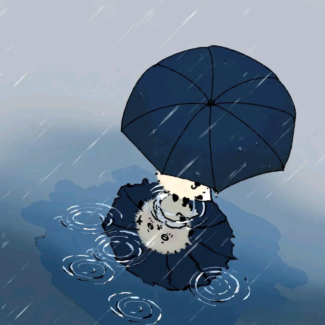 Y。