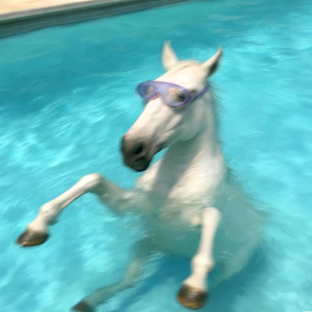 小瑜(去过时团常州上海演唱会版)