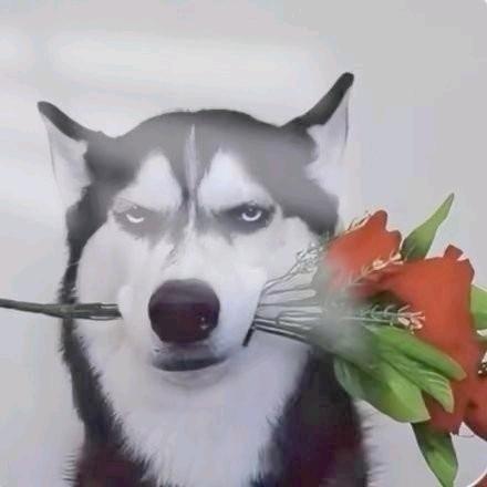 白白