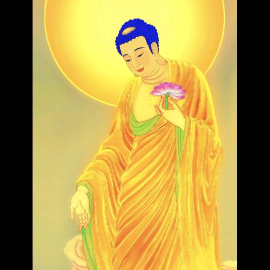 南无阿弥陀佛愿一切众生离苦得乐🙏🙏