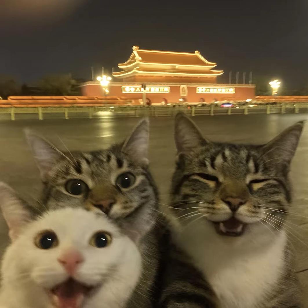 太阳狗🌞