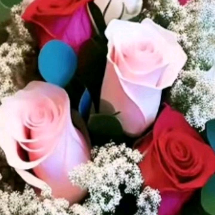 漂洋过海来看你CE