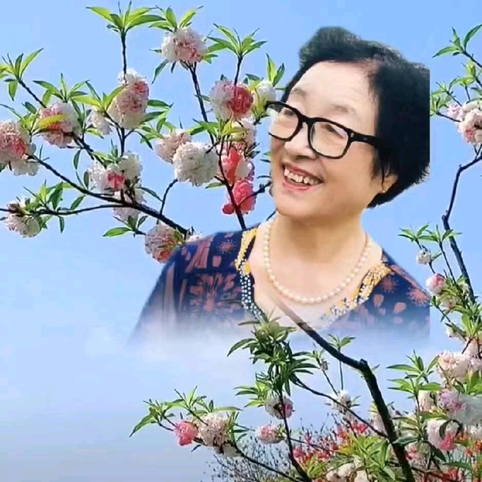 淑芹零食铺