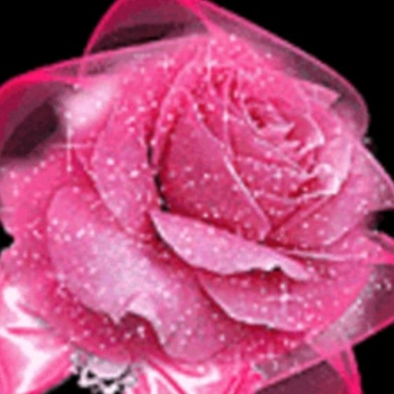 万事如意🌹