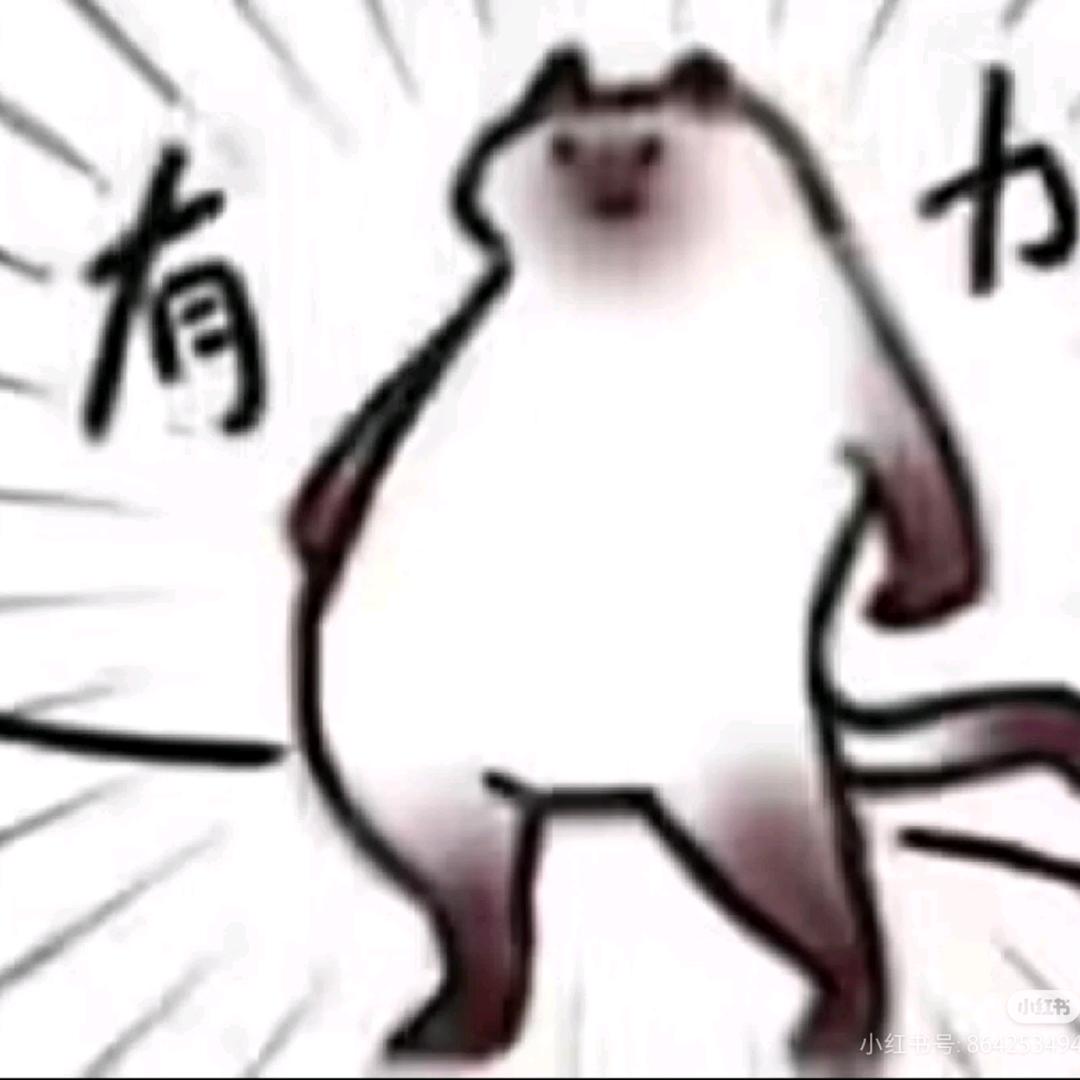 喀兰圣女代理人