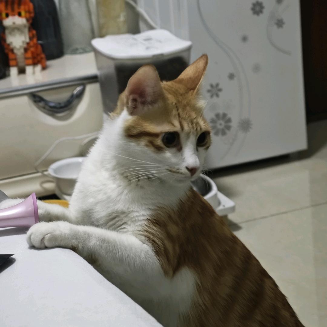 敏子有点边界感