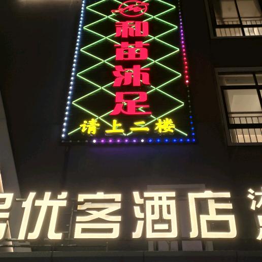 东莞茶山和苗推荐官101号（养分中）