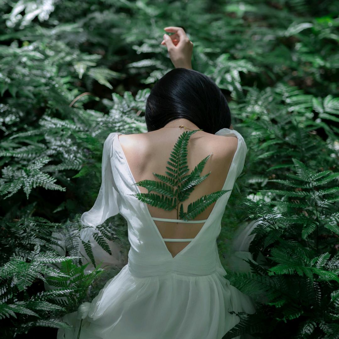 沁鴿