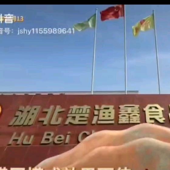 楚渔农鮰鱼养殖 加工源头工厂