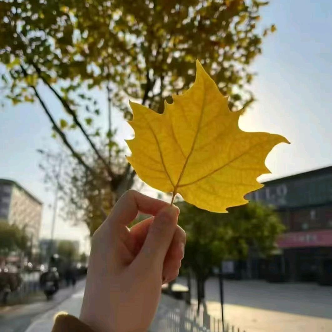 沉默不语