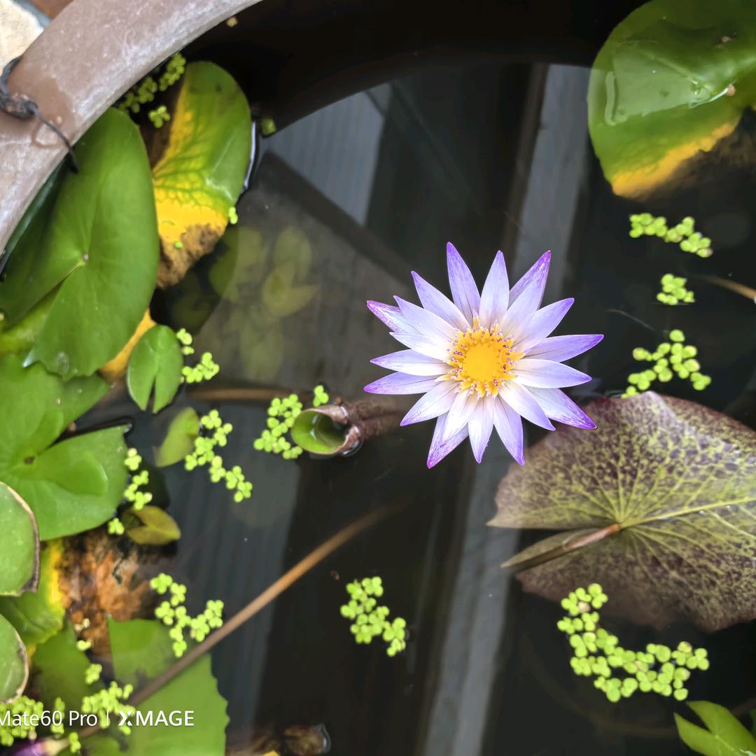 明明马戏演艺有限公司