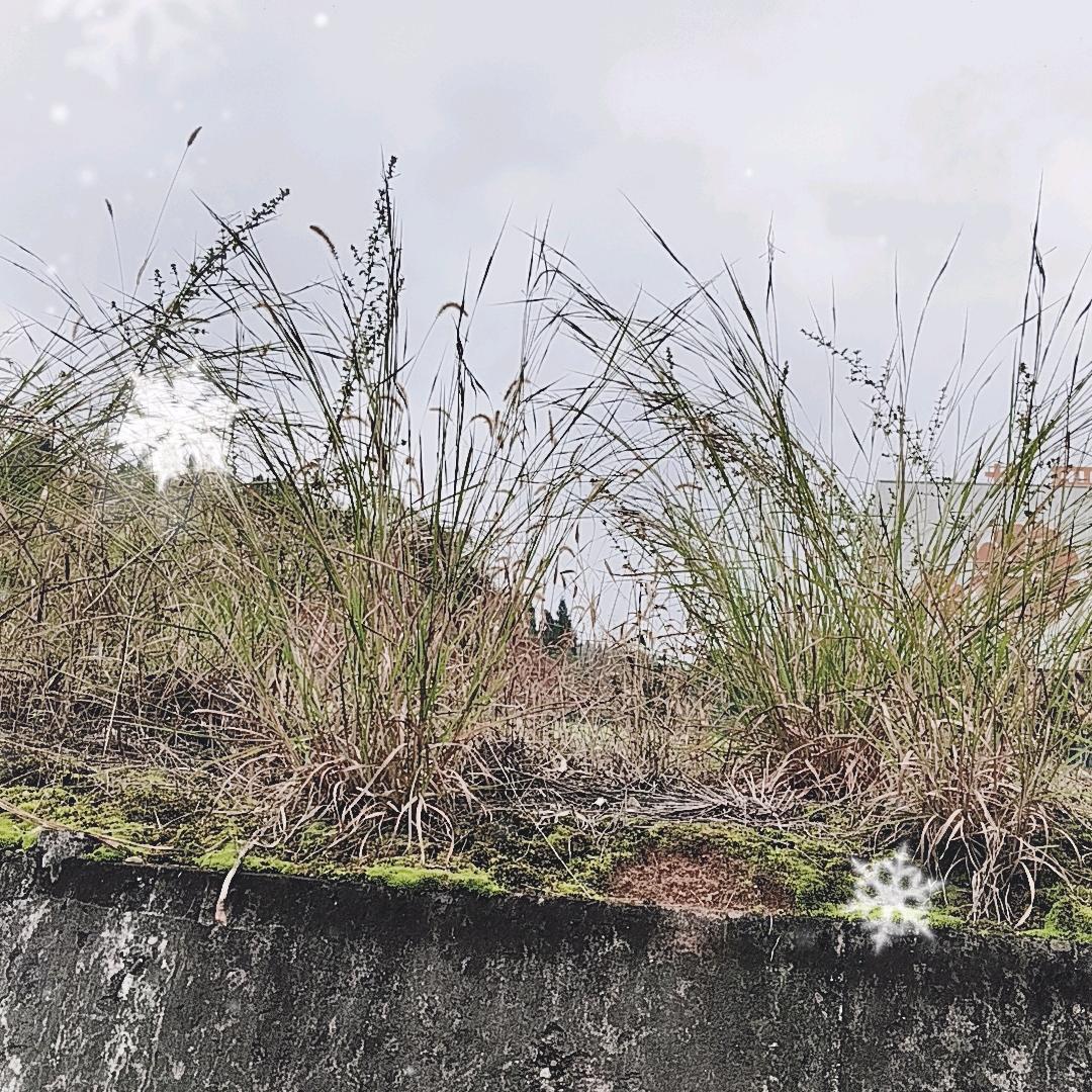 天赐良缘 用心体会  好运伴随！YY