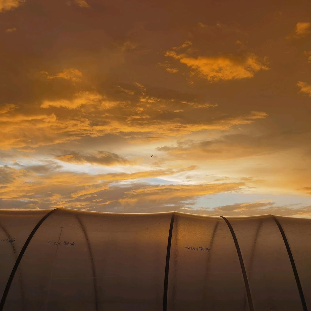 🐠🌿老陈爱钓鱼🌿🐠