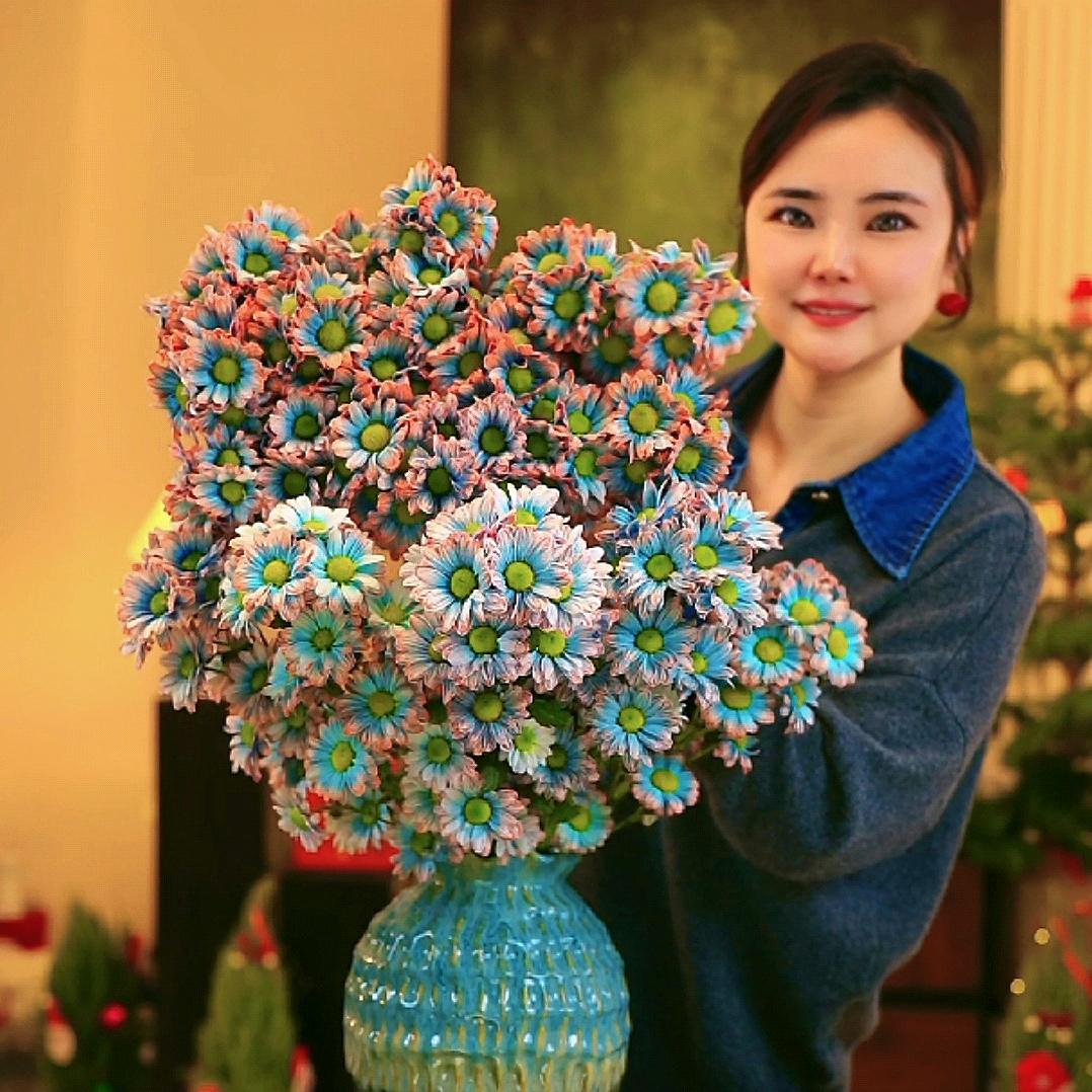 🌸糖糖的植物花园