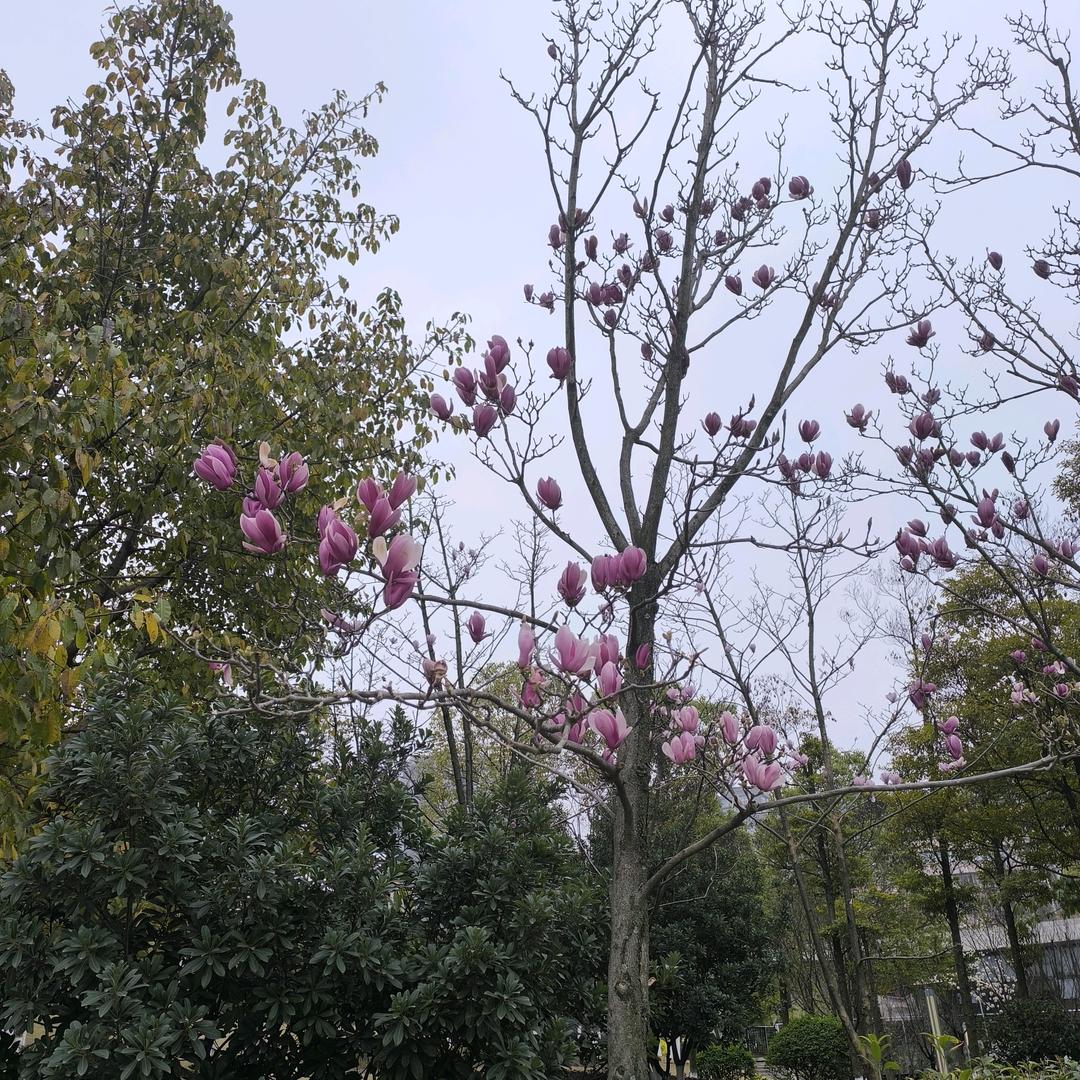 幸福余生