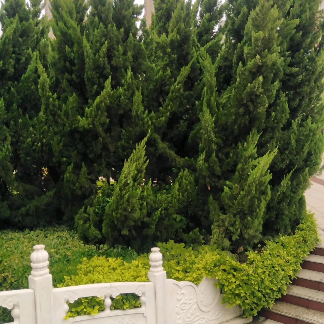 用户2383689802666