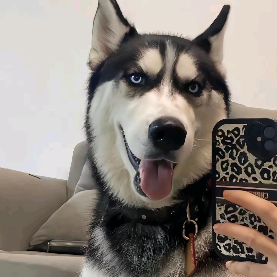 睡着的时候不困