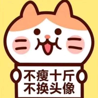 王十二🐱