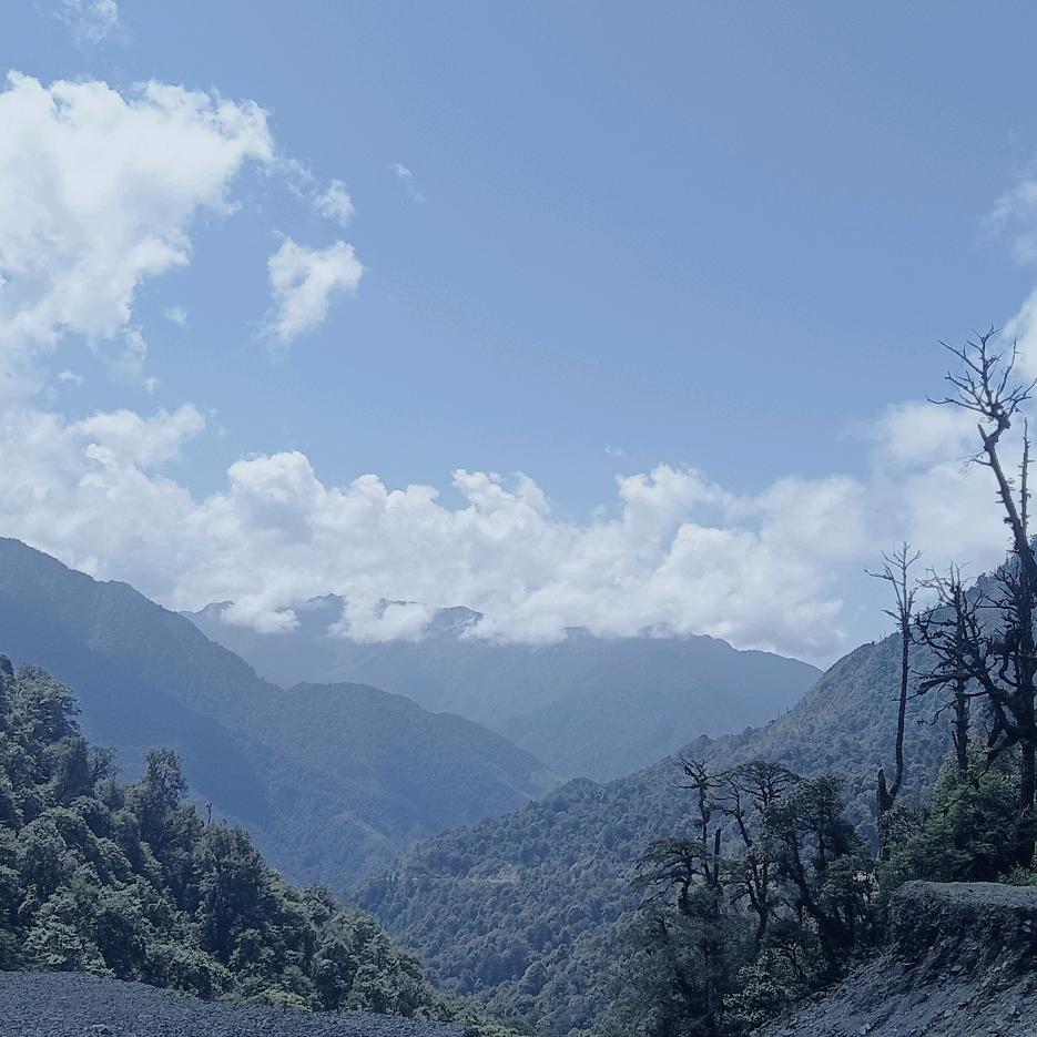 余生一个她，，，，