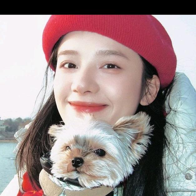 猪好运