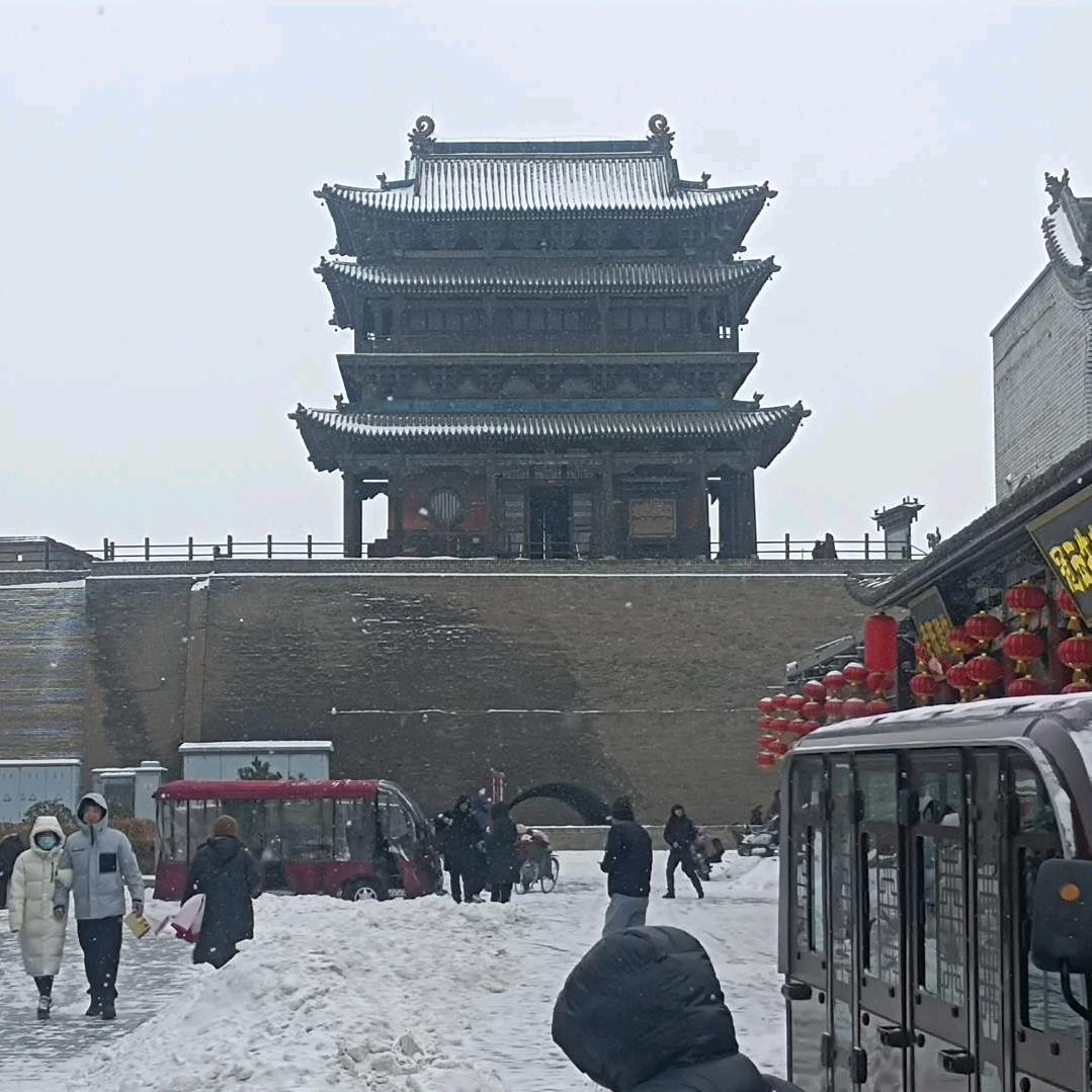 无声飞雪