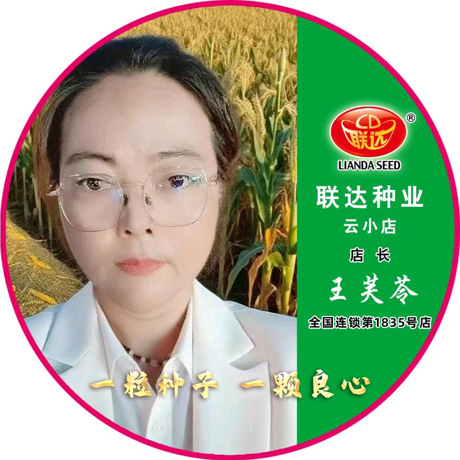 联达种业云小店-王芙苓